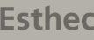 partners-logo-esthec